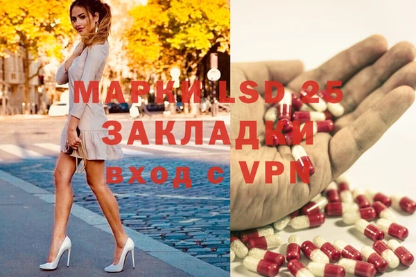 индика Алексин