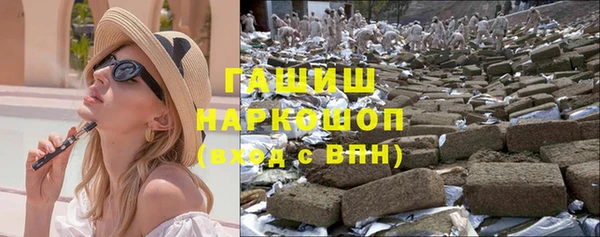 индика Алексин