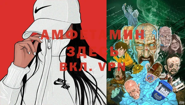 индика Алексин