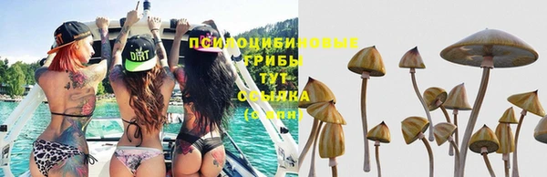 кокаин колумбия Абаза