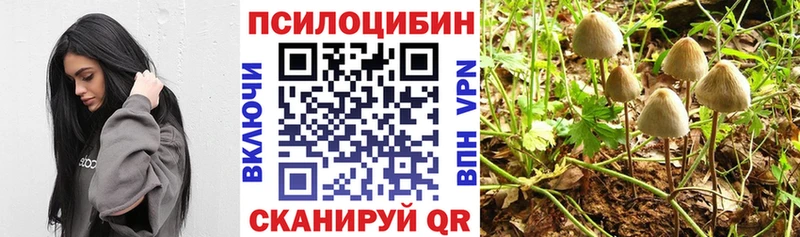 Псилоцибиновые грибы Cubensis  Шумерля 